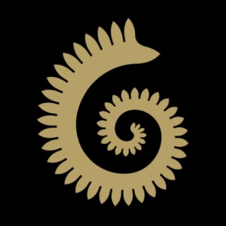 252mya.com logo