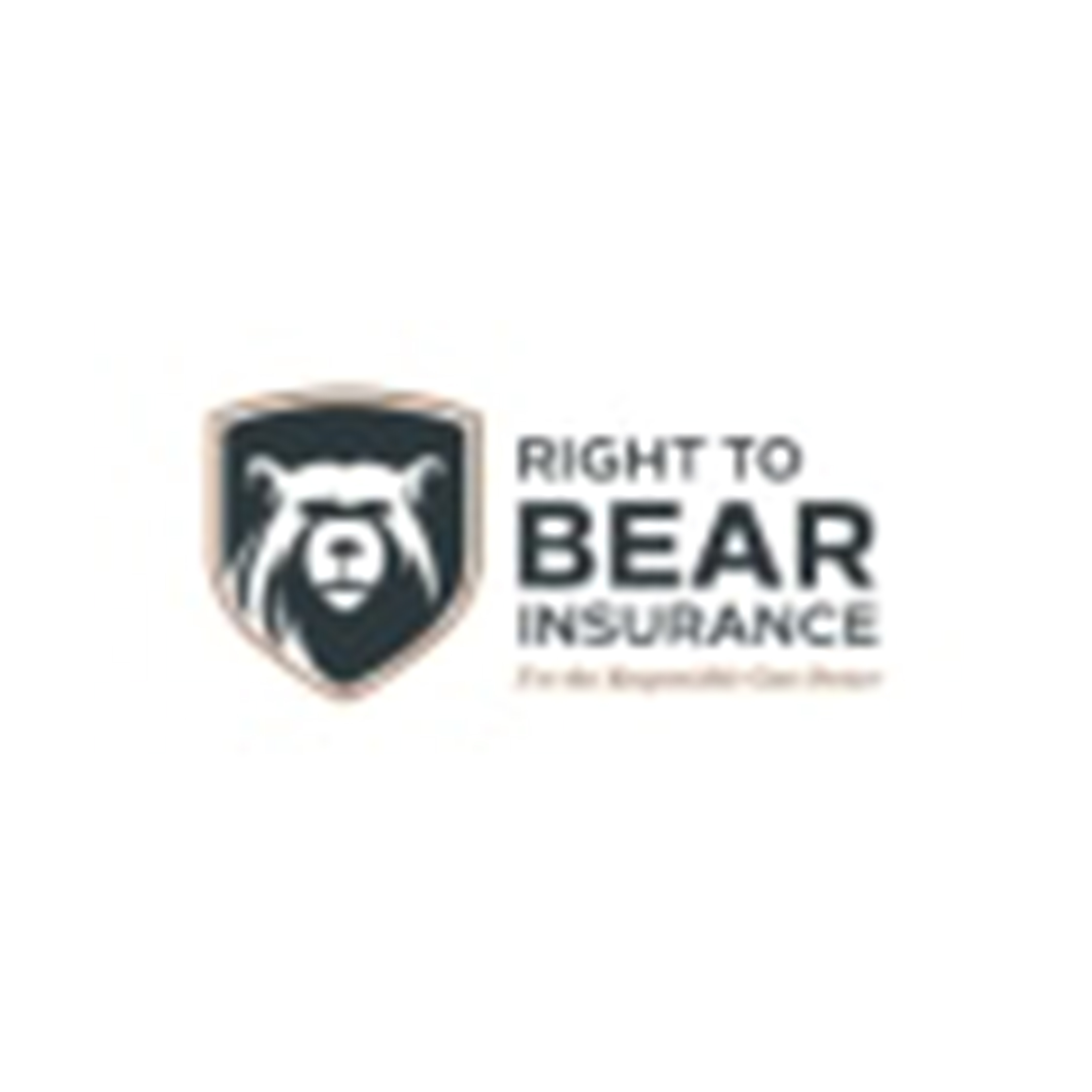Shop Right To Bear logo