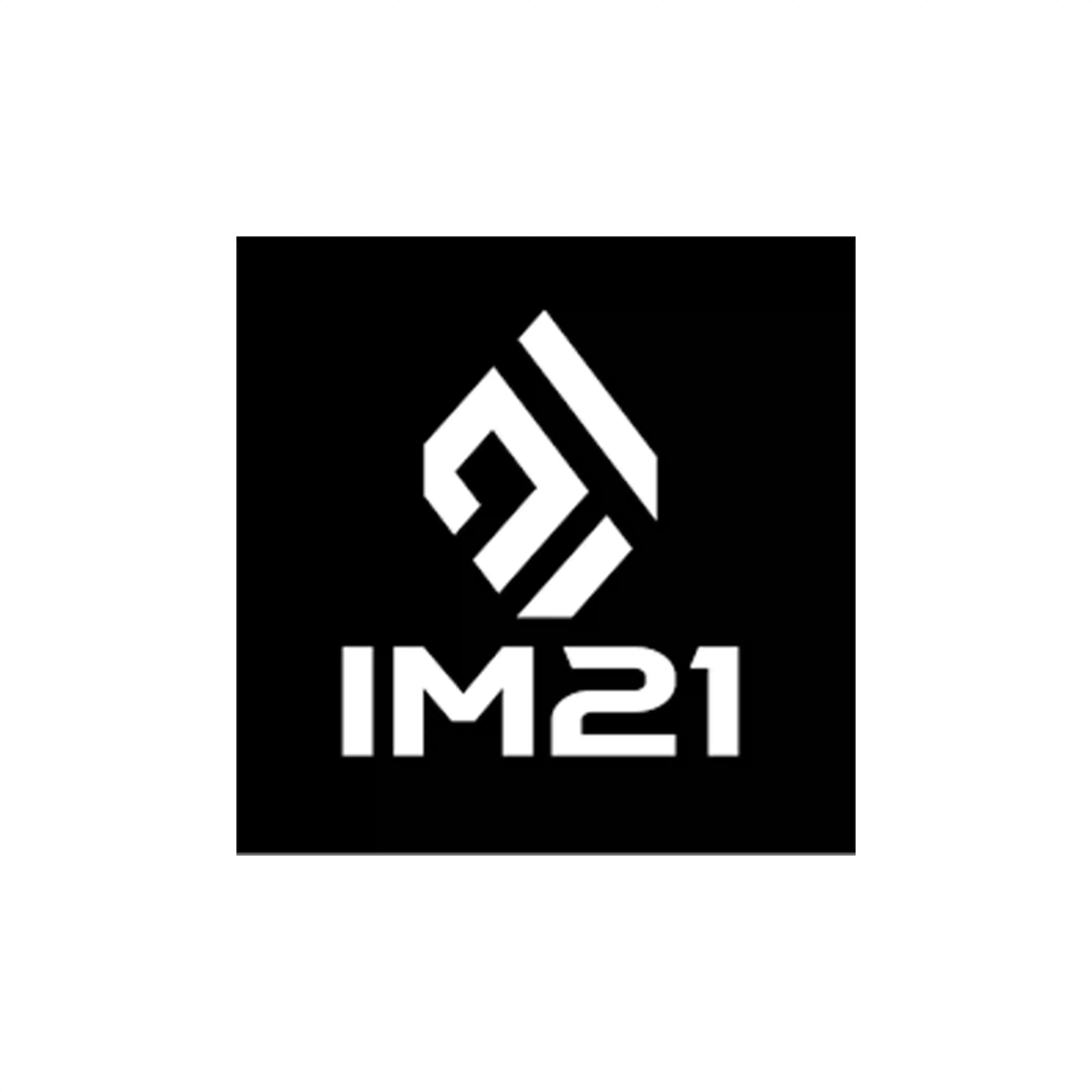 Im-21 logo