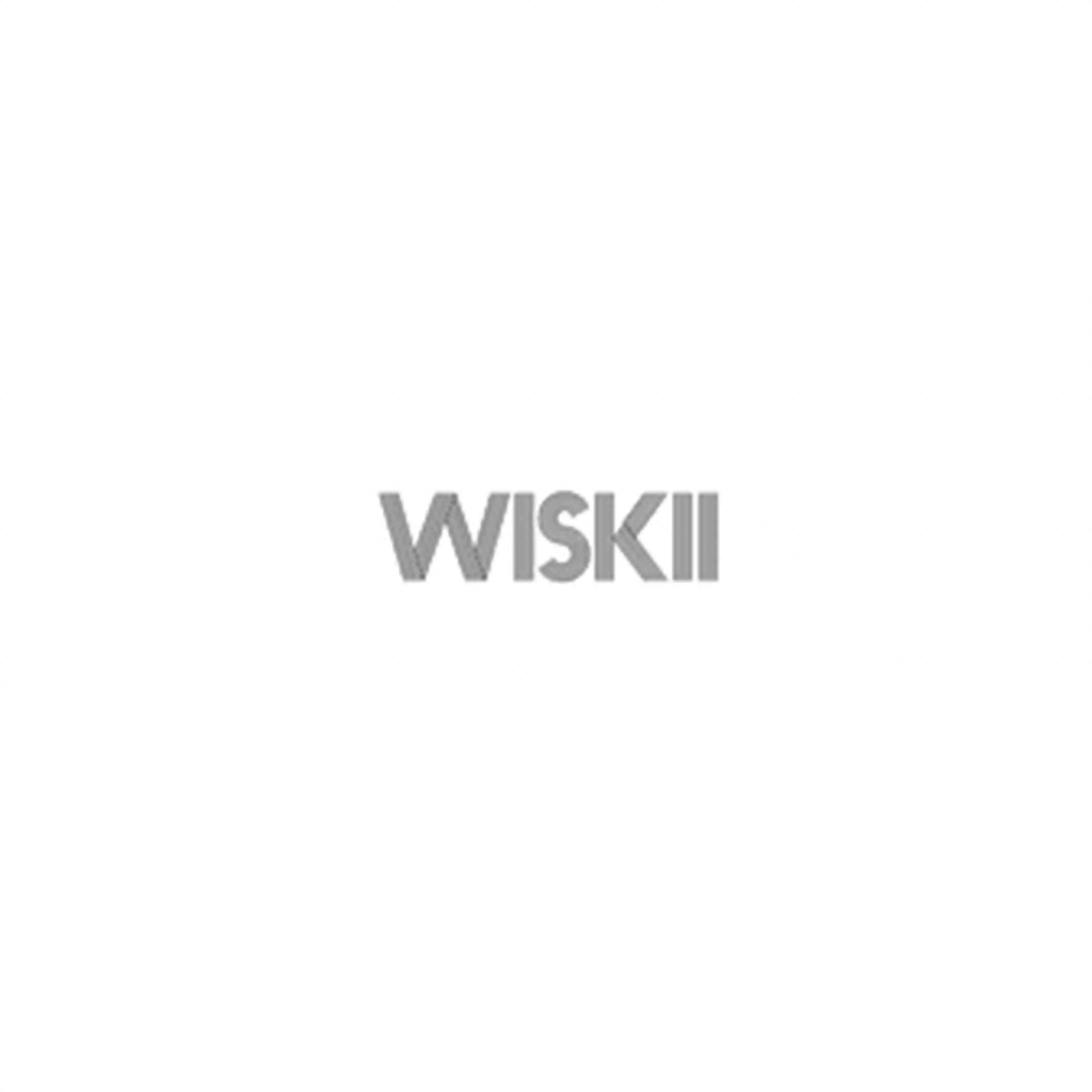 WISKII logo