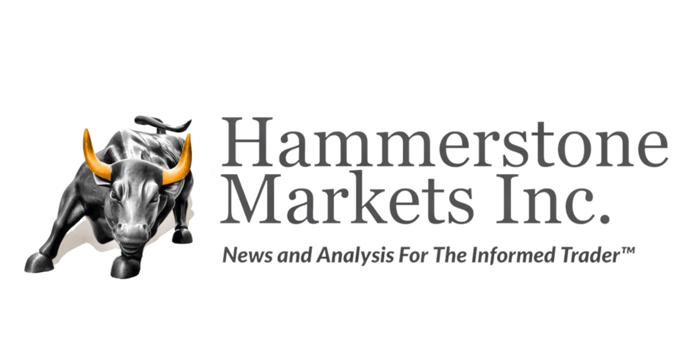Shop Hammerstone Markets, Inc logo