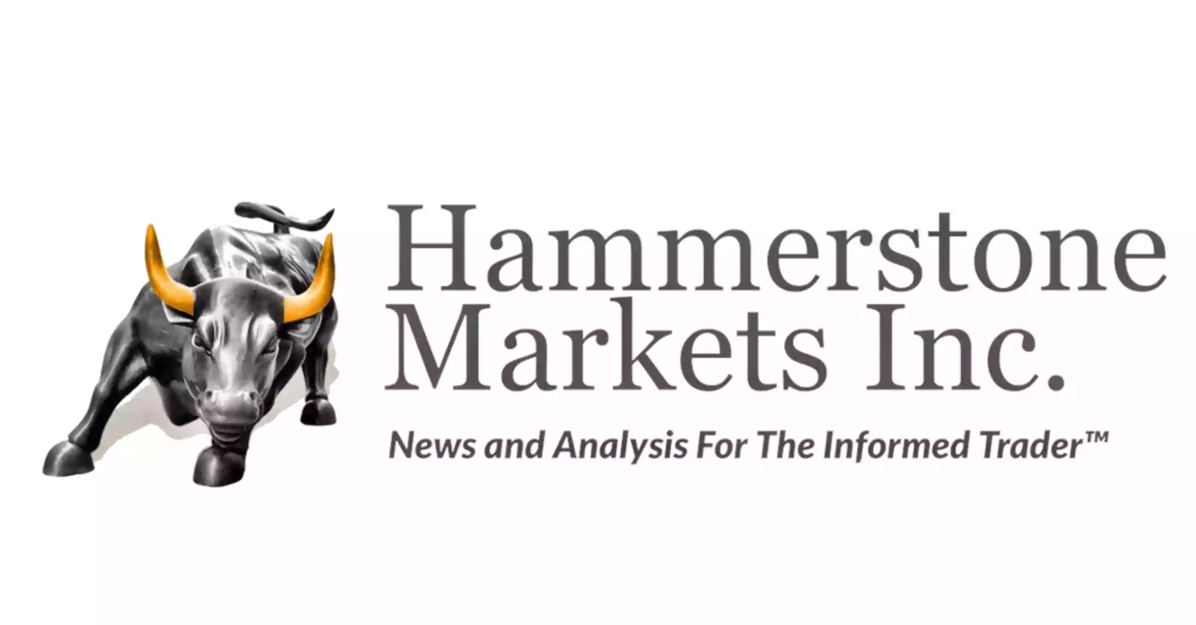 Hammerstone Markets, Inc logo