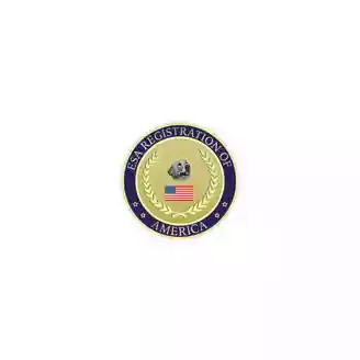 EsaRegistration logo