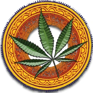 Aficionados Of Cannabis Seedbank logo