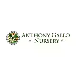 Shop Anthony Gallo Nursery discount codes logo
