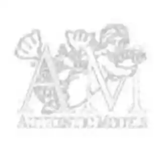 authenticmodels.com logo