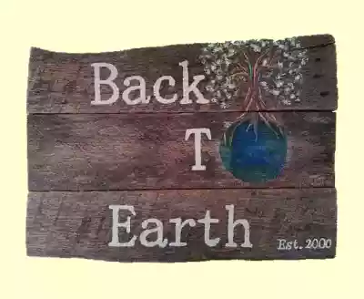 Shop Back to Earth Products coupon codes logo