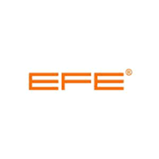 EFE GLASSES logo