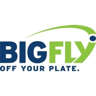 BigFly  logo