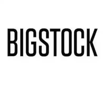 Bigstock Photo logo