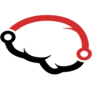 Brainspin logo