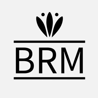 BRM Web Dev logo