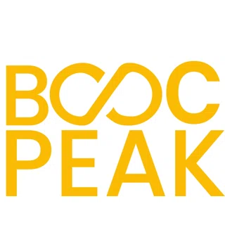 BSCPeak logo