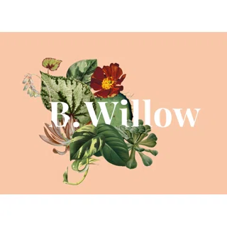 B.Willow logo