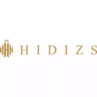 www.hidizs.net logo