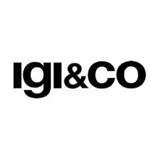 IGI&CO logo