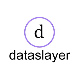 dataslayer logo