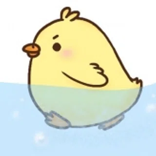 DuckyDeFi logo