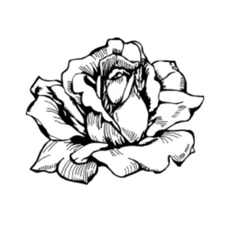 elisabeth-rose.com logo