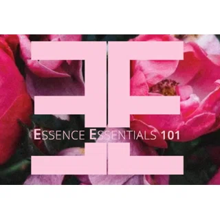 Essence Essentials 101 logo