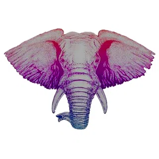 Exotic Elephant logo
