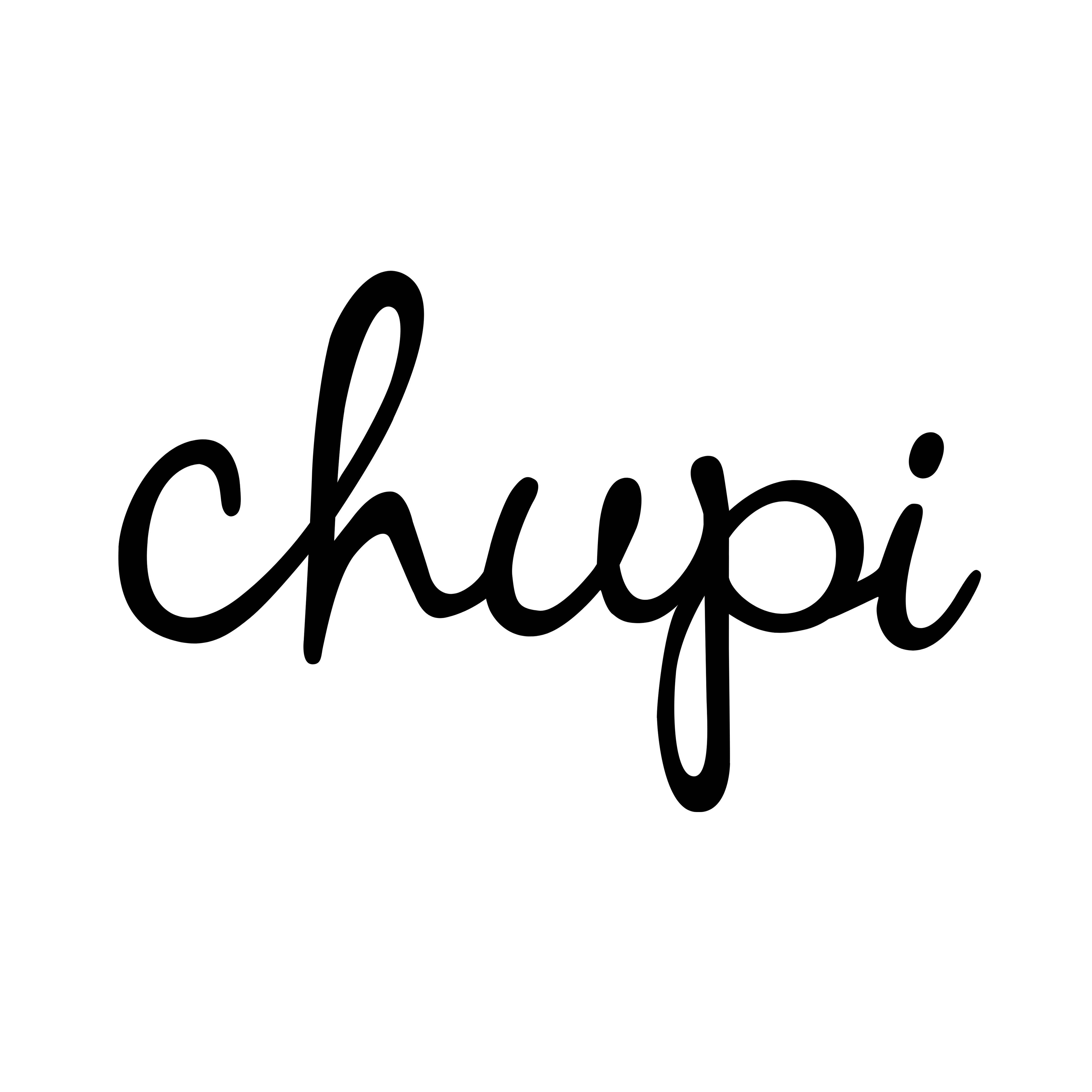 Shop Chupi logo