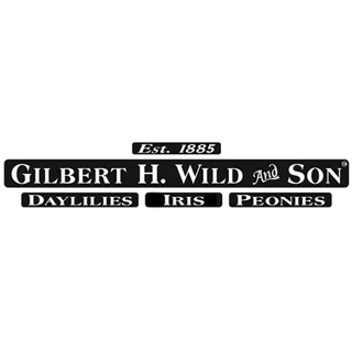 Gilbert H. Wild logo