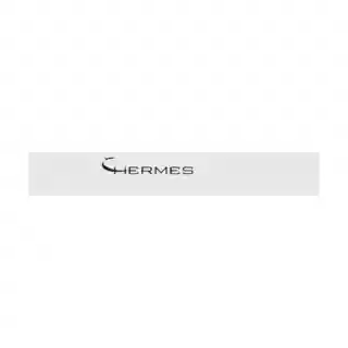 Hermes Spacecraft logo