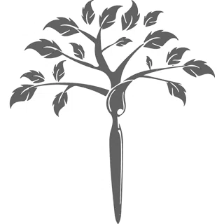 Shop Lucky Tree logo