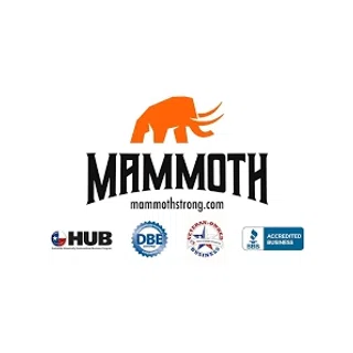 Mammoth Foundation Repair logo