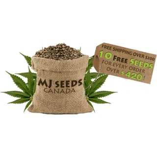 Shop Marijuana Seeds Canada coupon codes logo