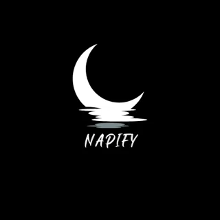 Napify logo
