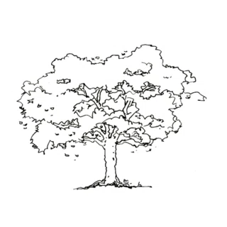 Oak Tree Home Improvement logo