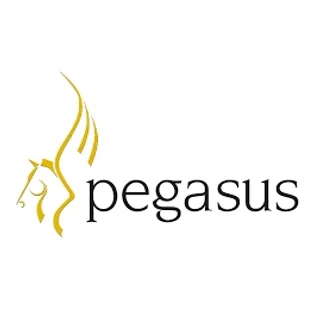 Shop Pegasus Software logo