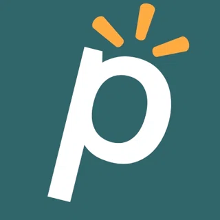 Pletinum logo