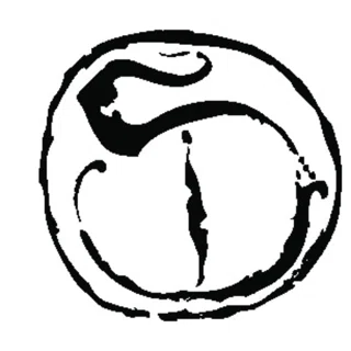 Shop Stephanie Inagaki logo