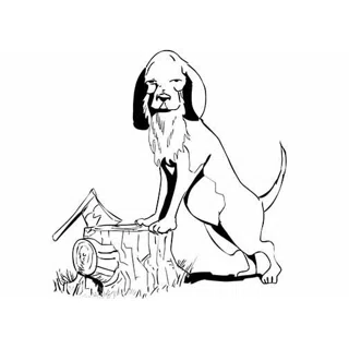 Shop The Bearded Beagle logo