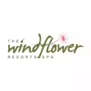 thewindflower.com logo