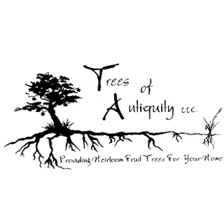 Trees of Antiquity logo