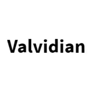 valvidian.com logo