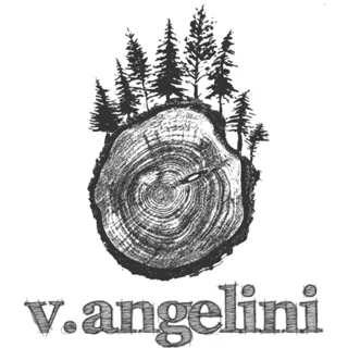  V.Angelini logo