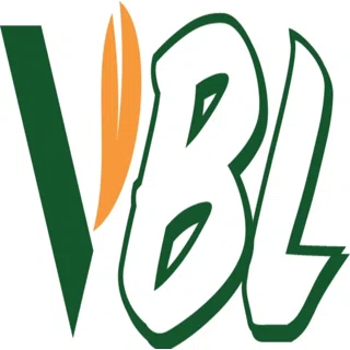 Vivibosslink logo