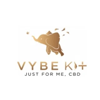 Vybe Kit coupon codes