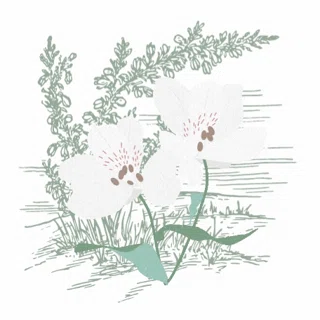 Wild Natural Living logo